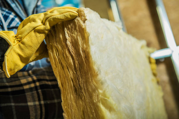 Best Insulation for Specific Applications in Lauderdale, MN