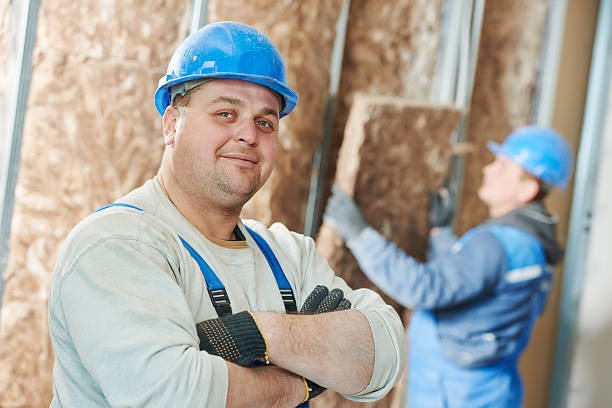 Best Cellulose Insulation in Lauderdale, MN